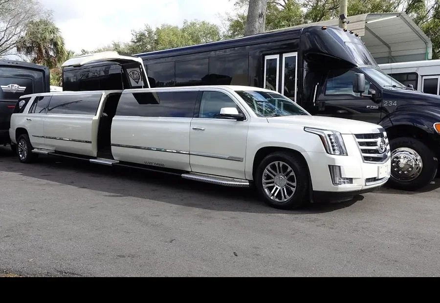 The Caddy Limousine exterior or interior